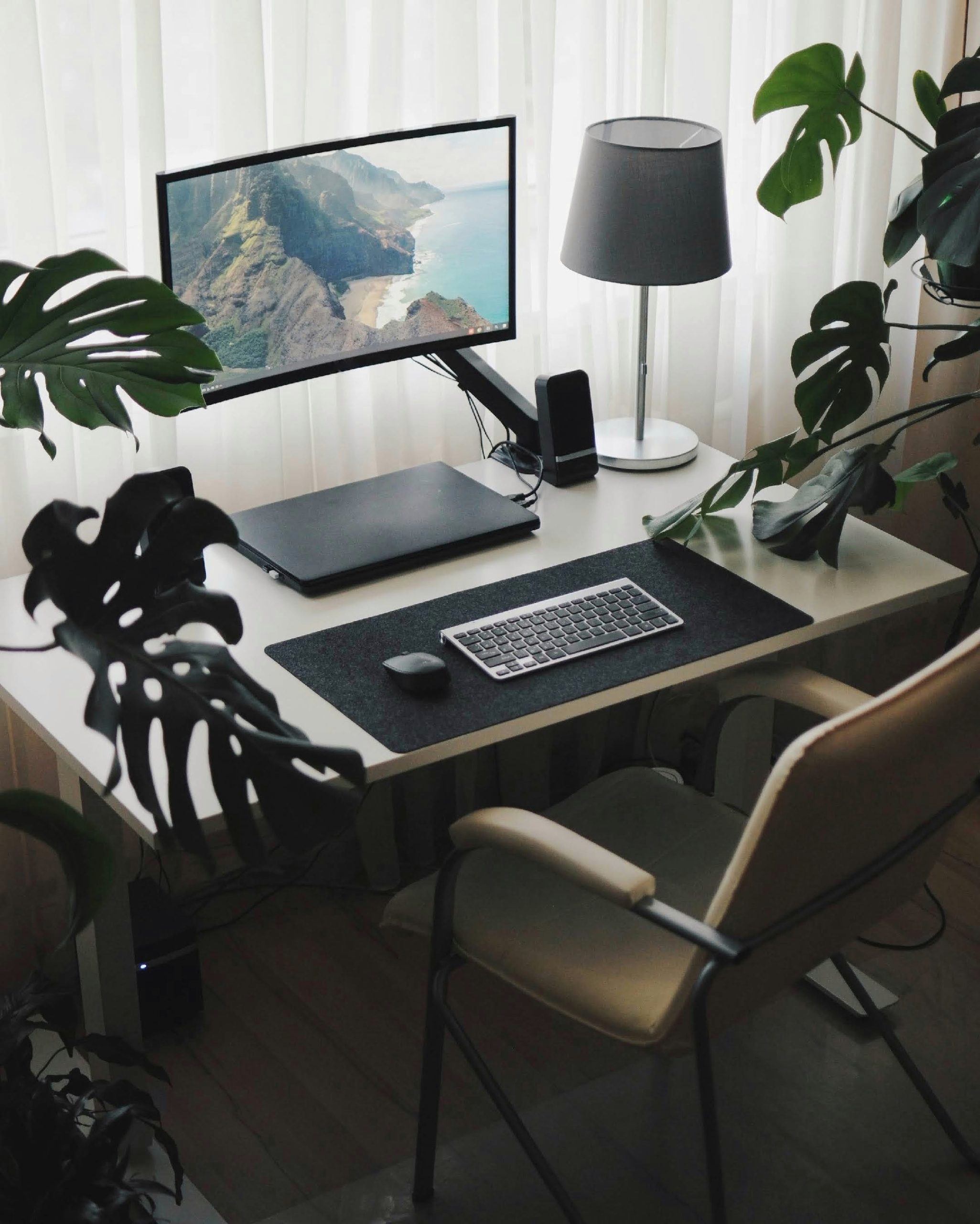 work place at home. minimalism style and modern interior inside with plants.